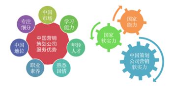 中国青年网 2019年度最新中国十大营销策划公司排名数据情况 南方略咨询再次入榜